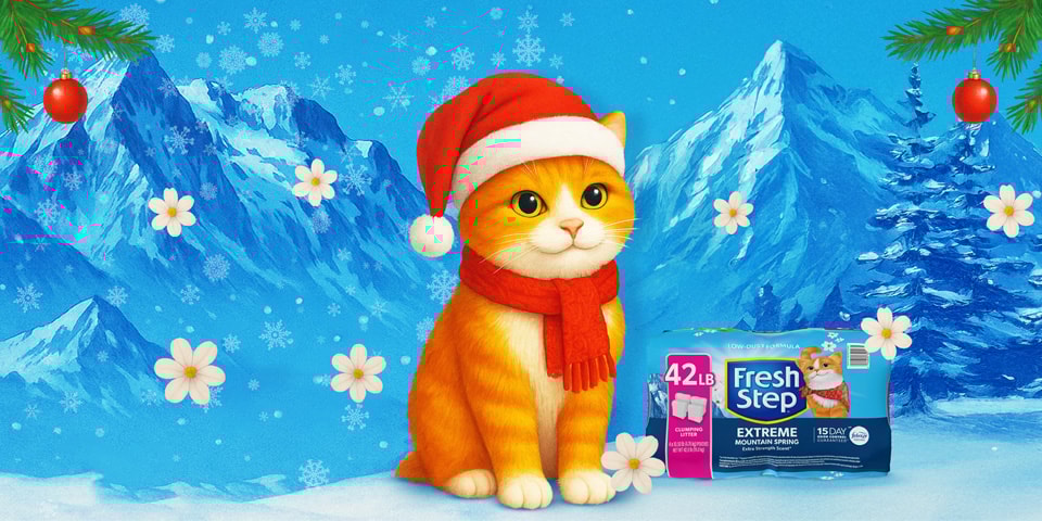 Holiday Catalog