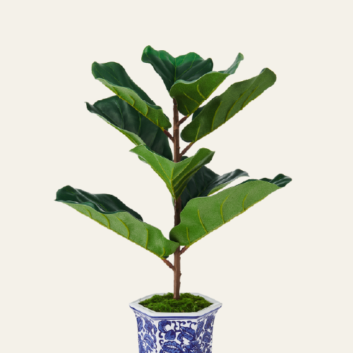 Amantes de la decoración