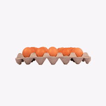 Huevos